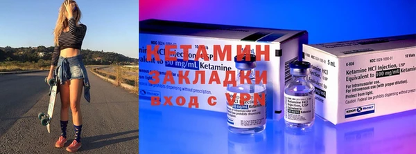 индика Няндома