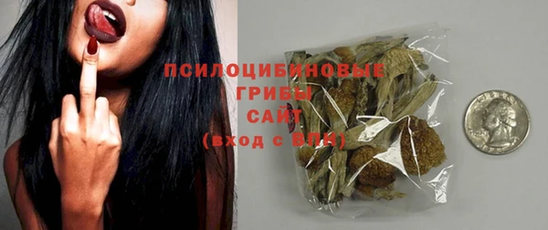 apvp Алзамай
