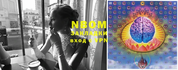 apvp Алзамай