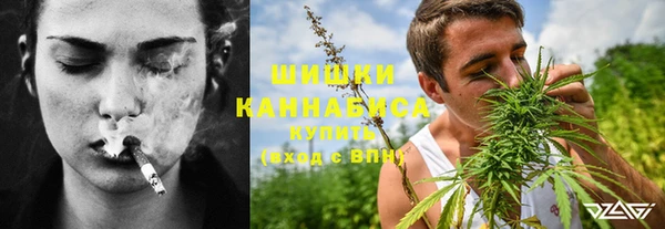 apvp Алзамай