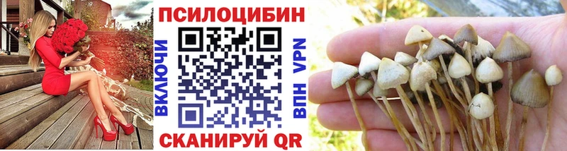 Галлюциногенные грибы Magic Shrooms  Зеленодольск 